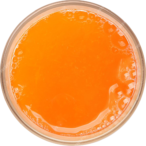 BLOOD ORANGE
