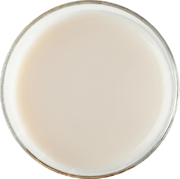 COCONUT MILK