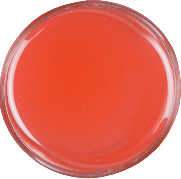 HONEY POMELO