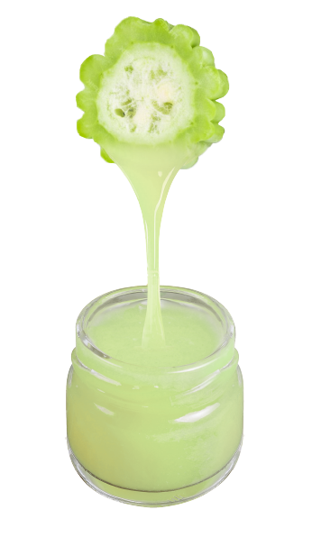 Bitter Melon
