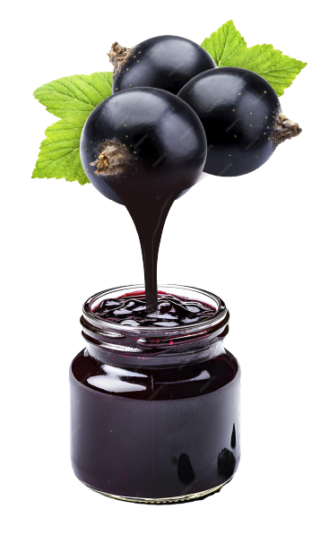 Black Currant
