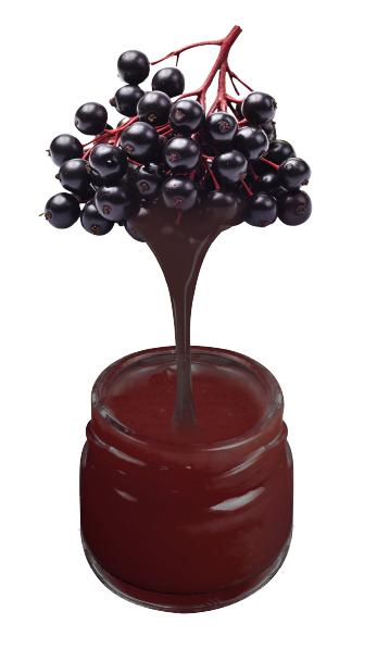 Elderberry