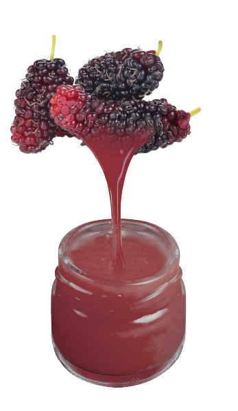 Mulberry