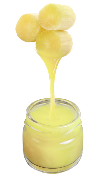 Sugarcane