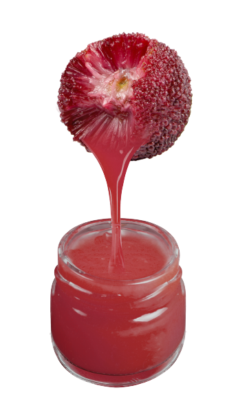 Waxberry
