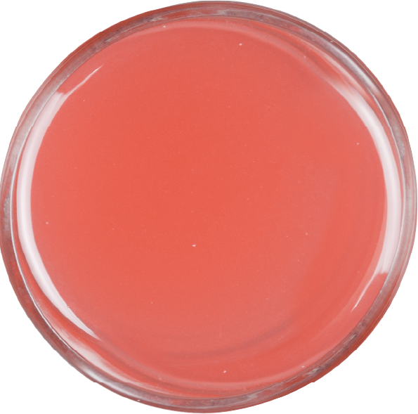 PINK GRAPEFRUIT