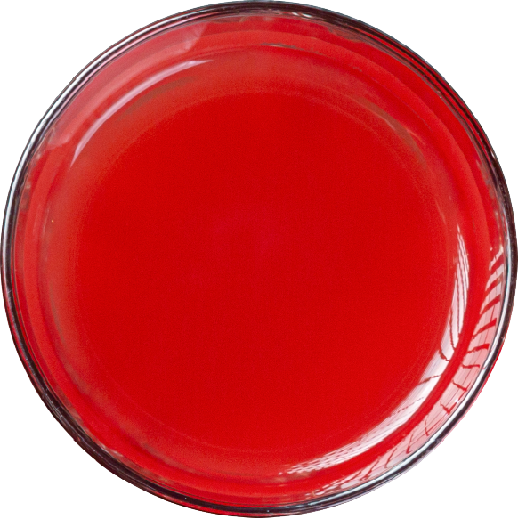 RED GRAPE