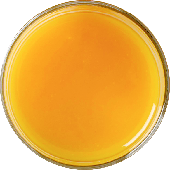 TANGERINE