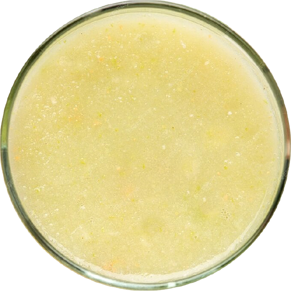 WHITE GUAVA
